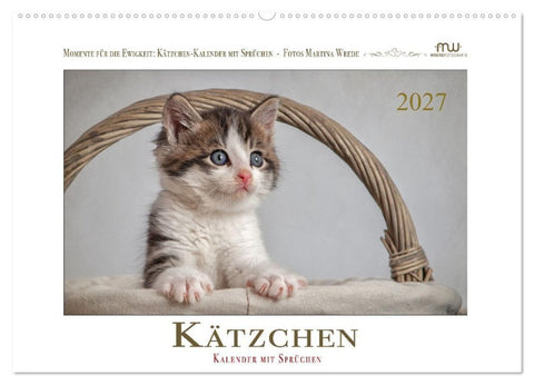 Kätzchen-Kalender mit Sprüchen (Wandkalender 2027 DIN A2 quer), CALVENDO Monatskalender