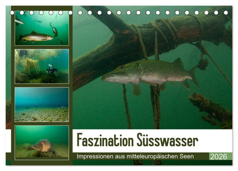 Faszination Süsswasser (Tischkalender 2026 DIN A5 quer), CALVENDO Monatskalender