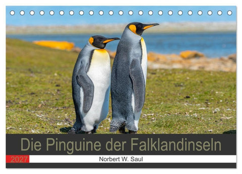 Die Pinguine der Falklandinseln (Tischkalender 2027 DIN A5 quer), CALVENDO Monatskalender