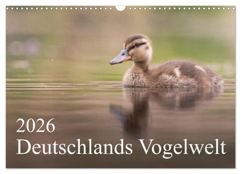 Deutschlands Vogelwelt (Wandkalender 2026 DIN A3 quer), CALVENDO Monatskalender
