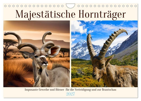 Majestätische Hornträger (Wandkalender 2027 DIN A4 quer), CALVENDO Monatskalender