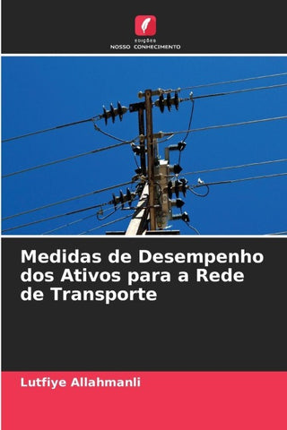 Medidas de Desempenho dos Ativos para a Rede de Transporte