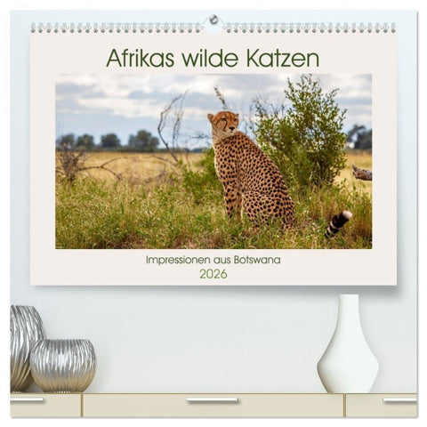Afrikas wilde Katzen (hochwertiger Premium Wandkalender 2026 DIN A2 quer), Kunstdruck in Hochglanz