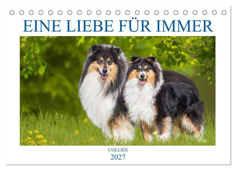 Eine Liebe für immer - Collies (Tischkalender 2027 DIN A5 quer), CALVENDO Monatskalender