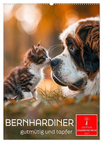 Bernhardiner - gutmütig und tapfer (Wandkalender 2027 DIN A2 hoch), CALVENDO Monatskalender