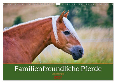 Familienfreundliche Pferde (Wandkalender 2027 DIN A3 quer), CALVENDO Monatskalender