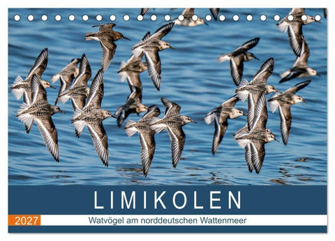 Limikolen - Watvögel am norddeutschen Wattenmeer (Tischkalender 2027 DIN A5 quer), CALVENDO Monatskalender