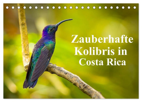 Zauberhafte Kolibris in Costa Rica (Tischkalender 2027 DIN A5 quer), CALVENDO Monatskalender