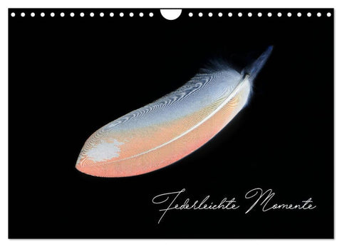 Federleichte Momente (Wandkalender 2027 DIN A4 quer), CALVENDO Monatskalender