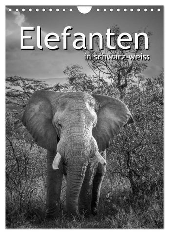 Elefanten in schwarz-weiss (Wandkalender 2026 DIN A4 hoch), CALVENDO Monatskalender