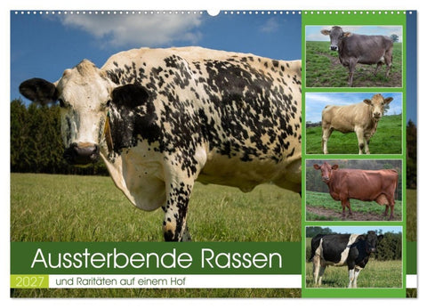 Aussterbende Rassen und Raritäten (Wandkalender 2027 DIN A2 quer), CALVENDO Monatskalender