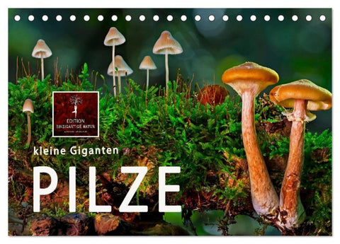 Pilze - kleine Giganten (Tischkalender 2027 DIN A5 quer), CALVENDO Monatskalender