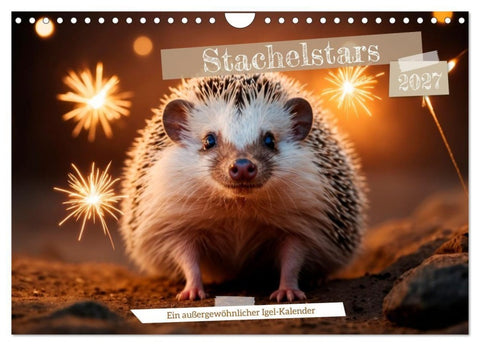 Stachelstars (Wandkalender 2027 DIN A4 quer), CALVENDO Monatskalender
