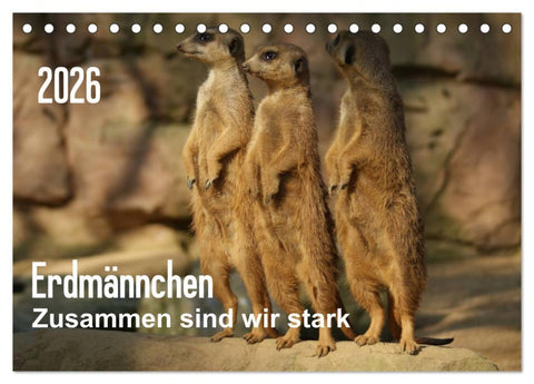 Erdmännchen - Zusammen sind wir stark (Tischkalender 2026 DIN A5 quer), CALVENDO Monatskalender