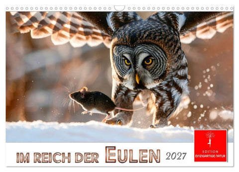 Im Reich der Eulen (Wandkalender 2027 DIN A3 quer), CALVENDO Monatskalender