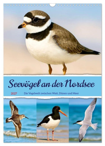 Seevögel an der Nordsee (Wandkalender 2027 DIN A3 hoch), CALVENDO Monatskalender