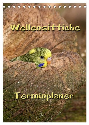 Wellensittiche Terminplaner (Tischkalender 2026 DIN A5 hoch), CALVENDO Monatskalender