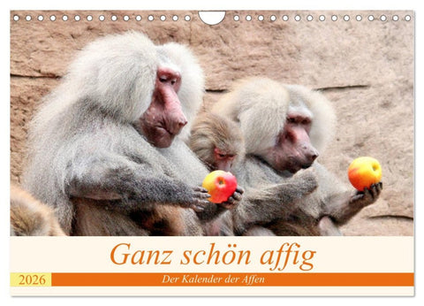 Ganz schön affig - Der Kalender der Affen (Wandkalender 2026 DIN A4 quer), CALVENDO Monatskalender