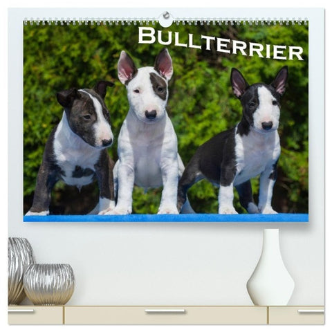 Bullterrier (hochwertiger Premium Wandkalender 2027 DIN A2 quer), Kunstdruck in Hochglanz