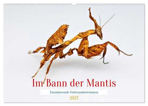Im Bann der Mantis (Wandkalender 2027 DIN A2 quer), CALVENDO Monatskalender