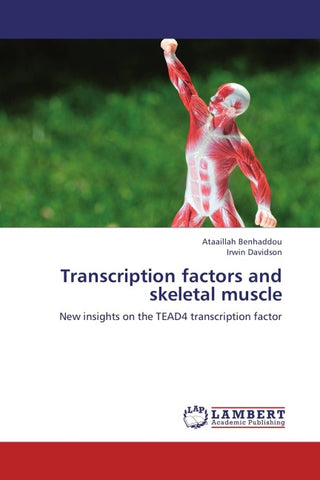 Transcription factors and skeletal muscle