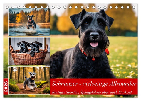 Schnauzer - vielseitige Allrounder (Tischkalender 2026 DIN A5 quer), CALVENDO Monatskalender