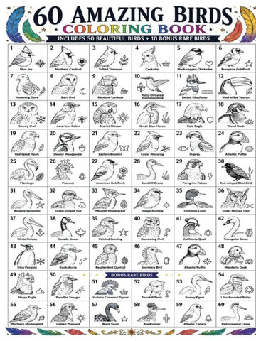 60 Amazing Birds Coloring Book
