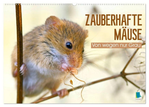 Zauberhafte Mäuse: Von wegen nur Grau (Wandkalender 2027 DIN A2 quer), CALVENDO Monatskalender