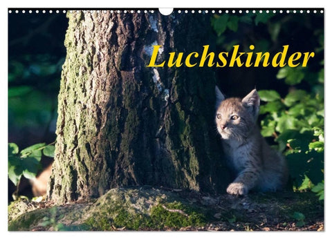Luchskinder (Wandkalender 2027 DIN A3 quer), CALVENDO Monatskalender