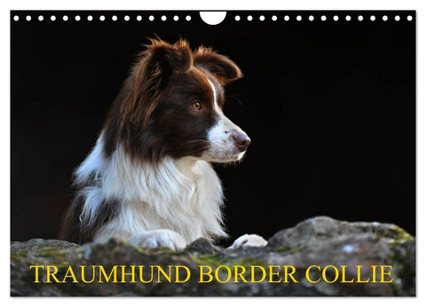Traumhund Border Collie (Wandkalender 2027 DIN A4 quer), CALVENDO Monatskalender