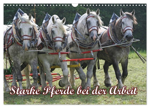Starke Pferde bei der Arbeit (Wandkalender 2027 DIN A3 quer), CALVENDO Monatskalender