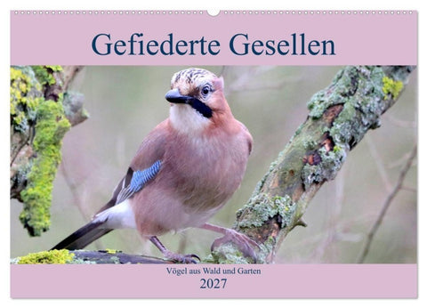 Gefiederte Gesellen - Vögel aus Wald und Garten (Wandkalender 2027 DIN A2 quer), CALVENDO Monatskalender