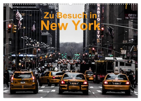 Zu Besuch in New York (Wandkalender 2027 DIN A2 quer), CALVENDO Monatskalender