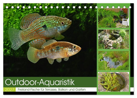 Outdoor-Aquaristik (Tischkalender 2027 DIN A5 quer), CALVENDO Monatskalender