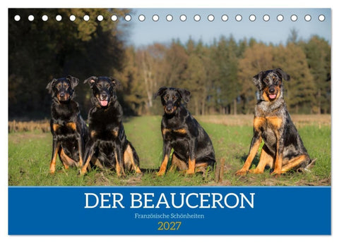 Der Beauceron (Tischkalender 2027 DIN A5 quer), CALVENDO Monatskalender