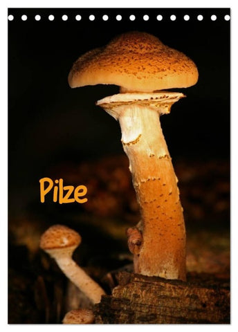 Pilze (Tischkalender 2027 DIN A5 hoch), CALVENDO Monatskalender