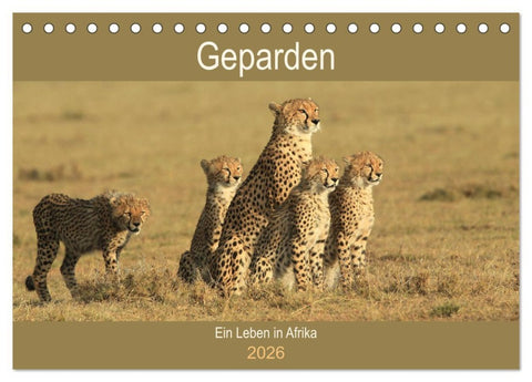 Geparden - Ein Leben in Afrika (Tischkalender 2026 DIN A5 quer), CALVENDO Monatskalender