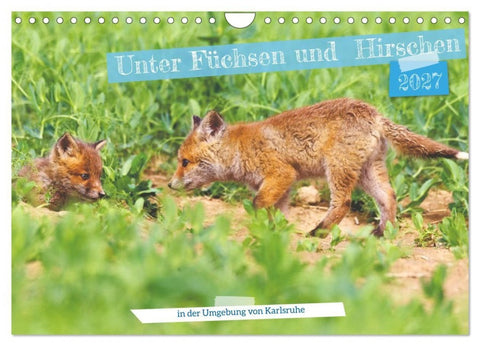 Unter Füchsen und Hirschen (Wandkalender 2027 DIN A4 quer), CALVENDO Monatskalender