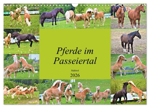Pferde im Passeiertal (Wandkalender 2026 DIN A3 quer), CALVENDO Monatskalender