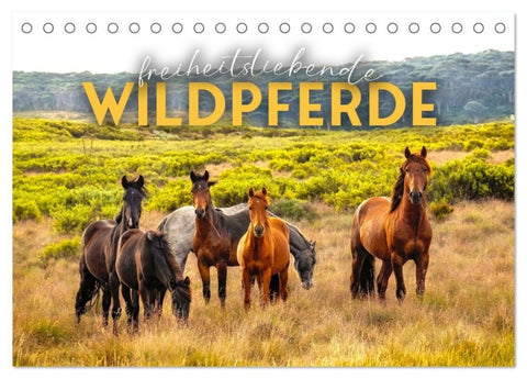 Freiheitsliebende Wildpferde (Tischkalender 2027 DIN A5 quer), CALVENDO Monatskalender