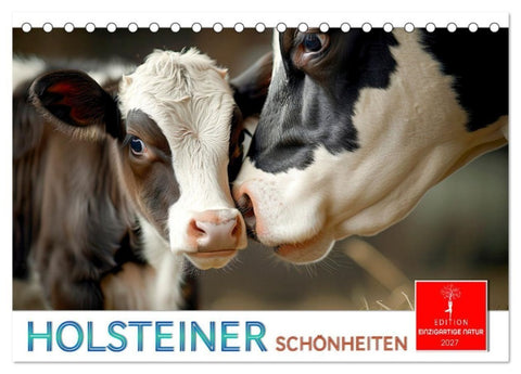 Holsteiner Schönheiten (Tischkalender 2027 DIN A5 quer), CALVENDO Monatskalender