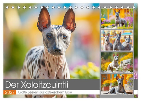 Der Xoloitzcuintli. Uralte Seelen aus aztekischem Erbe (Tischkalender 2027 DIN A5 quer), CALVENDO Monatskalender