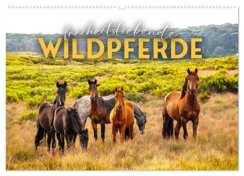 Freiheitsliebende Wildpferde (Wandkalender 2027 DIN A2 quer), CALVENDO Monatskalender