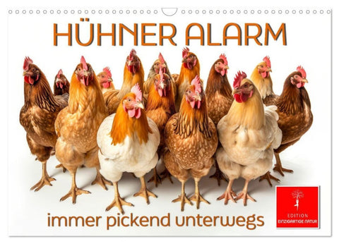 Hühner Alarm (Wandkalender 2027 DIN A3 quer), CALVENDO Monatskalender