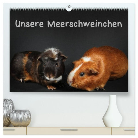 Unsere Meerschweinchen (hochwertiger Premium Wandkalender 2027 DIN A2 quer), Kunstdruck in Hochglanz