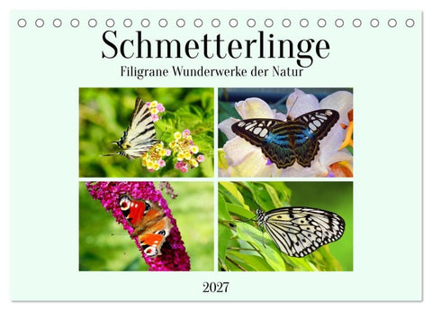 Schmetterlinge - Filigrane Wunderwerke der Natur (Tischkalender 2027 DIN A5 quer), CALVENDO Monatskalender