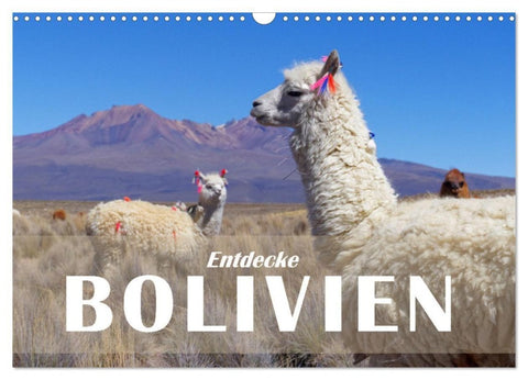 Entdecke Bolivien (Wandkalender 2027 DIN A3 quer), CALVENDO Monatskalender