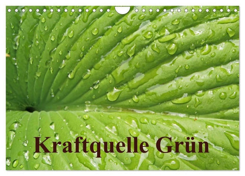 Kraftquelle Grün (Wandkalender 2027 DIN A4 quer), CALVENDO Monatskalender