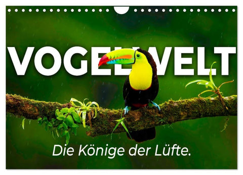Vogelwelt - Die Könige der Lüfte. (Wandkalender 2027 DIN A4 quer), CALVENDO Monatskalender