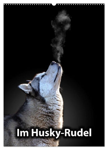 Im Husky-Rudel (Wandkalender 2027 DIN A2 hoch), CALVENDO Monatskalender